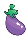 brinjal. Vector illustration decorative design Royalty Free Stock Photo