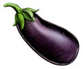 Brinjal vintage woodcut illustration Royalty Free Stock Photo