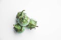Brinjaul on white background Royalty Free Stock Photo