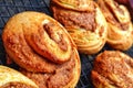 Brioche Style Cinnamon Buns Royalty Free Stock Photo