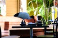 Brisbane City outdoor dining bird problem