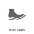 brisk boots icon from Brisk boots collection.