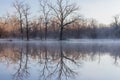 Brisk cold pond at the park