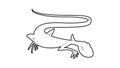 Brisk lizard icon animation