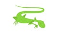 Brisk lizard icon animation