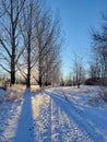 Brisk, sunny winter morning