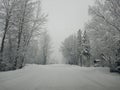 Brisk winters day in Ancorage Alaska on a slim backroad Royalty Free Stock Photo