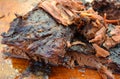 Brisket Royalty Free Stock Photo