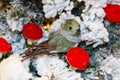 Bristle brush and stick bird with knitted scarf on flocked Christmas tree with bright red mushrooms