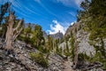 Bristlecone Pine Grove Trail - Great Basin National Park - Baker