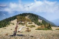 Bristlecone Pine On A Mountain Top in the Colorado Rocky Mountains Royalty Free Stock Photo