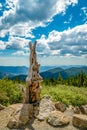 Bristlecone Pine Tree at Mount Evans with the Rocky Mountains in the back.