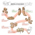 Bristol stool chart with excrement description and types outline concept Royalty Free Stock Photo