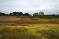 Britain Landscape with castle and swamp