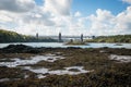 Britannia Bridge, Anglesey Royalty Free Stock Photo