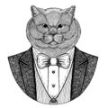 Brithish noble cat Hipster animal Hand drawn image for tattoo, emblem, badge, logo, patch, t-shirt