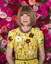 Anna Wintour at the 2018 Tony Awards