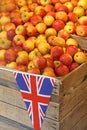 British Apples Royalty Free Stock Photo