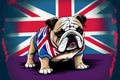 British Bulldog dog in front of a Union Jack flag Royalty Free Stock Photo
