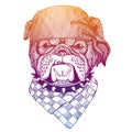 British bulldog. Wild pirate or biker. Vector animal portrait. Sailor, motorcyclist. Print for children clothing, tee