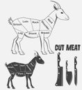 British cats of goats or Animal diagram meat.