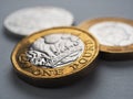 British coins lie on gray surfaceÃÅ½. One pound sterling coin close up. Economy and money. Bank of England. UK currency and Royalty Free Stock Photo