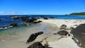 Cape Scott Provincial Park, Vancouver Island Landscape Panorama of White Sand Beach at Experiment Bight, British Columbia, Canada