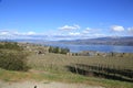 British Columbia, walking thru a vineyard and enjoying the lake views! Royalty Free Stock Photo