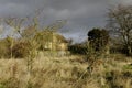 British countryside in winter