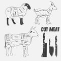 British cuts of lamb, veal, beef, goat or Animal diagram meat. Royalty Free Stock Photo