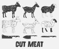 British cuts of lamb, veal, beef, goat or Animal diagram meat. Royalty Free Stock Photo