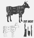 British cuts of veal, beef or animal diagram meat. Royalty Free Stock Photo