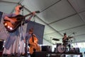 Laura Marling in concert at Newport Folk Festival