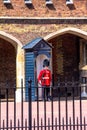 British guardsman on duty near St. James Palace in The Mall, London