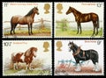 British Horse Postage Stamps Royalty Free Stock Photo