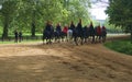 British Horseguard Royalty Free Stock Photo