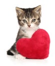 British kitten with a red heart-shaped pillow Royalty Free Stock Photo