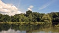 British Lake with woods in the background