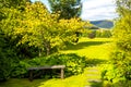 British landscape in Summer