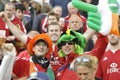 British lions & irish supporters