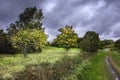 British meadow in autumn. Royalty Free Stock Photo