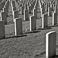 Military Cemetery Royalty Free Stock Photo