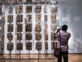 British Museum visitor photographs Benin plaques from Nigeria