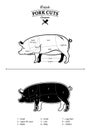 British Pork Cuts Diagram Royalty Free Stock Photo