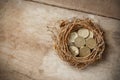 British Pound Coins with Bird Nest