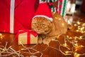 British red cat in Santa hat lying with a Christmas garland near gifts at home. Christmas cat Royalty Free Stock Photo