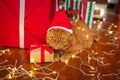 British red cat in Santa hat lying with a Christmas garland near gifts at home. Christmas cat Royalty Free Stock Photo