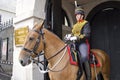 British Royal Household Cavalry Royalty Free Stock Photo