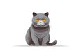British Shorthair Cat, Minimalist Style, White Background Cartoonish, Flat Illustration.. Generative AI