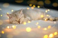 British shorthair kitten silver color was sleeping on a bed decorated with many small lights
